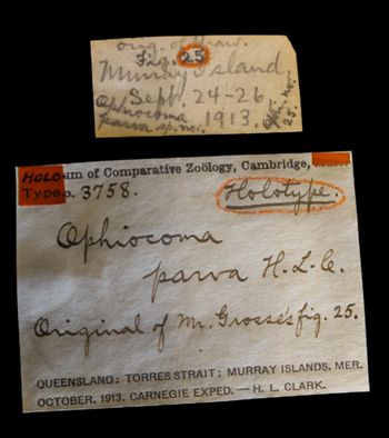 Media type: image;   Invertebrate Zoology OPH-3758 Description: Original handwritten specimen labels;  Aspect: labels